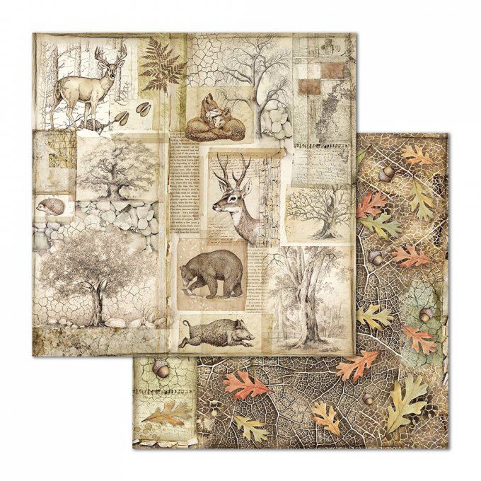 Papier scrapbooking, 30.5x30.5cm, Forest  - Stamperia