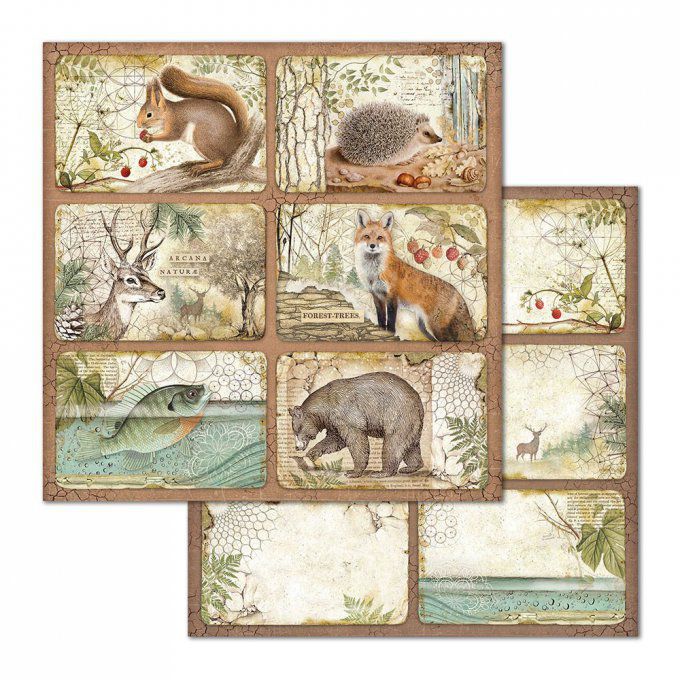 Papier scrapbooking, 30.5x30.5cm, Forest  - Stamperia