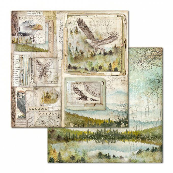 Papier scrapbooking, 30.5x30.5cm, Forest  - Stamperia