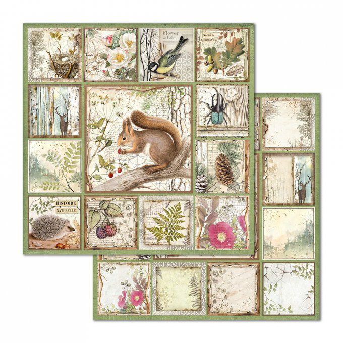 Papier scrapbooking, 30.5x30.5cm, Forest  - Stamperia