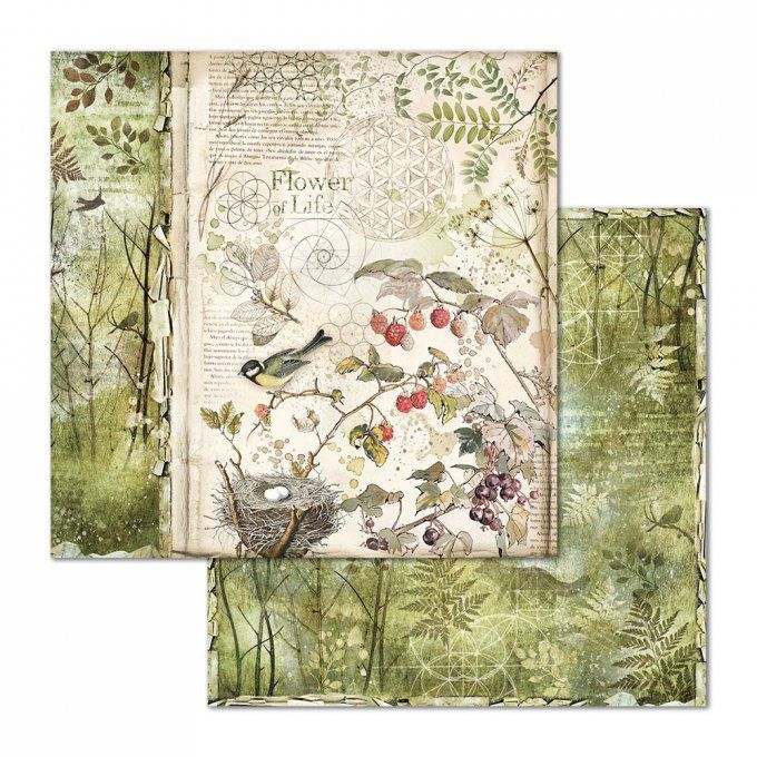 Papier scrapbooking, 30.5x30.5cm, Forest  - Stamperia