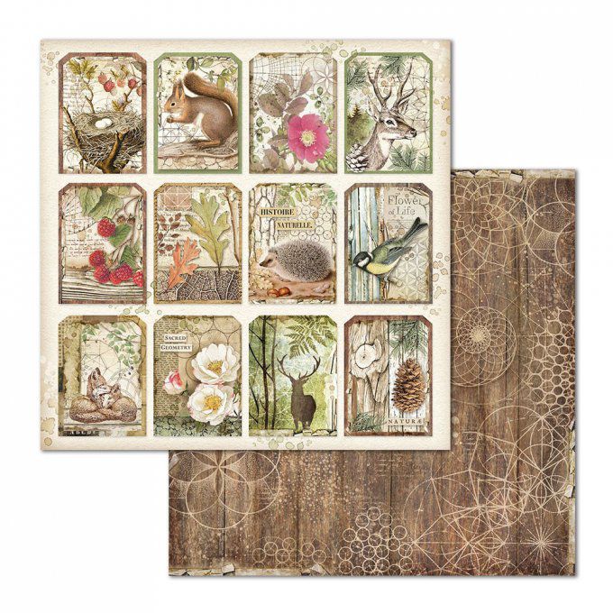 Papier scrapbooking, 30.5x30.5cm, Forest  - Stamperia