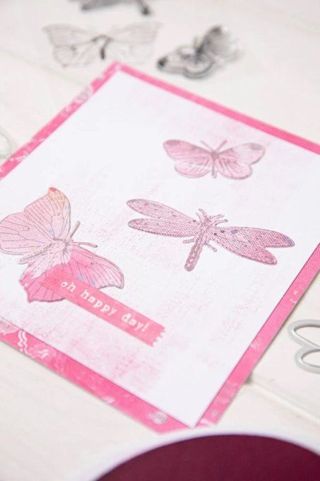 Sizzix, 3 Tampons et 3 dies, Ailes gravées
