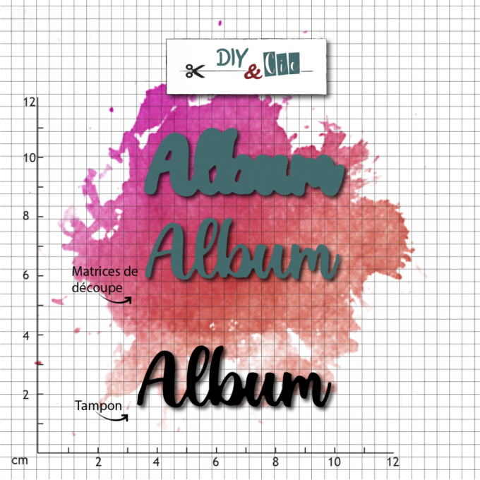  Dies/matrices de découpe et tampon, DIY & Cie, Album