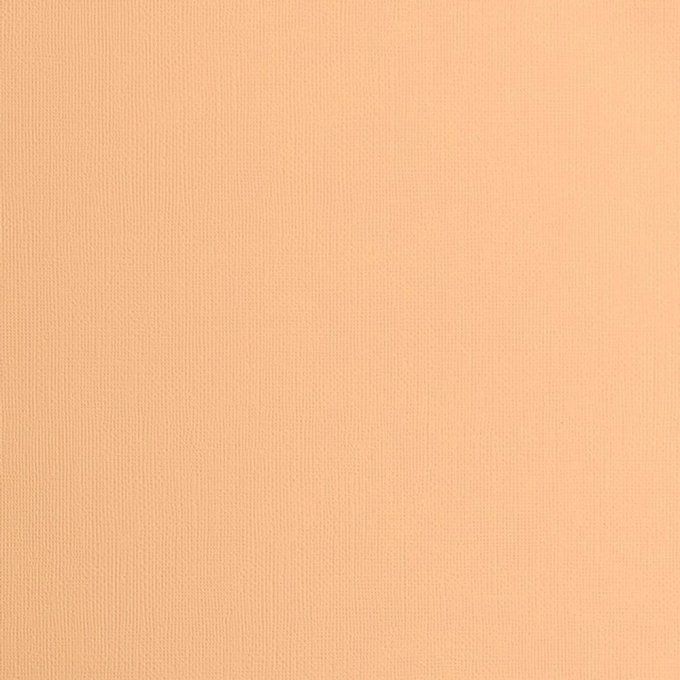 Lot de 10 Feuilles contenant 5 cardstock couleur sorbet et 5 papiers pailletés  champagne- format A4