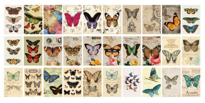 60 petites feuilles environ, Dimension : 5x8cm environ, papillons