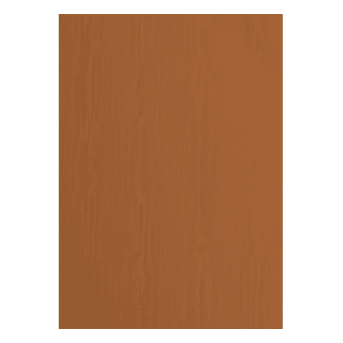 Cardstock Couleur : Brick, 216g, lot de 10 feuilles - Format A4 (texturé)