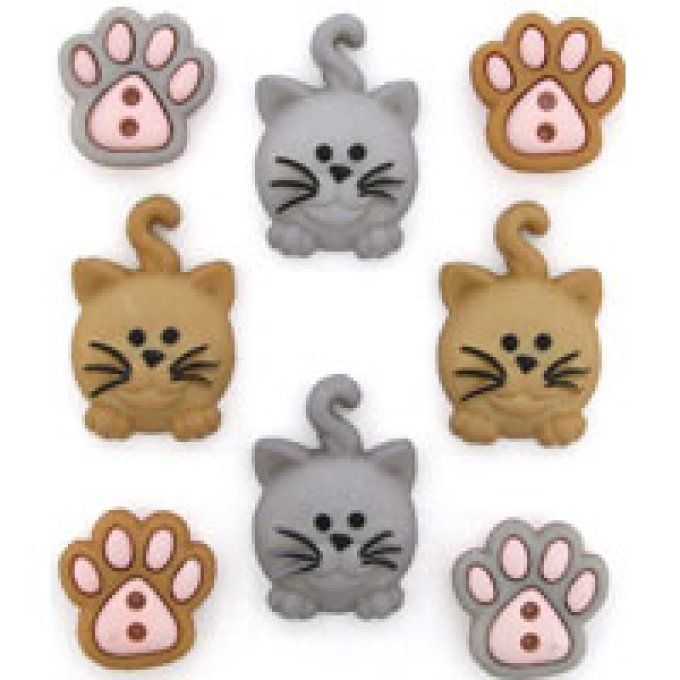 8 Boutons - Chat