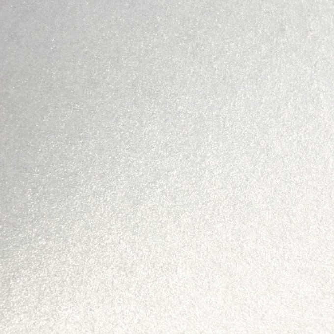 5 feuilles, Tonic Studio, format A4 - 250g - pearl white
