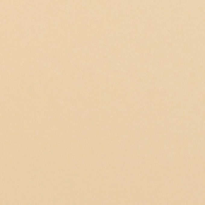 5 feuilles, Tonic Studio, format A4 - 250g - ivory sheen