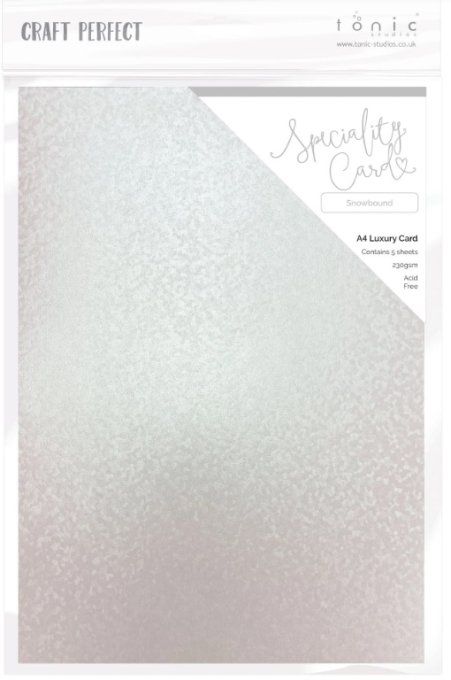 Papier texturé, craft perfect, Tonic Studio, format A4, 230g, 5 feuilles, Cardstock : Snowbound