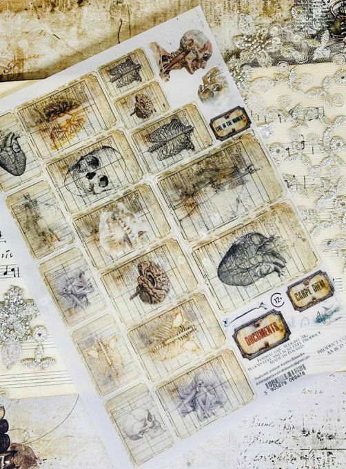 Feuille de papier calque à motifs, collection : Behind closed doors - dimension 14.8x21cm, format A5