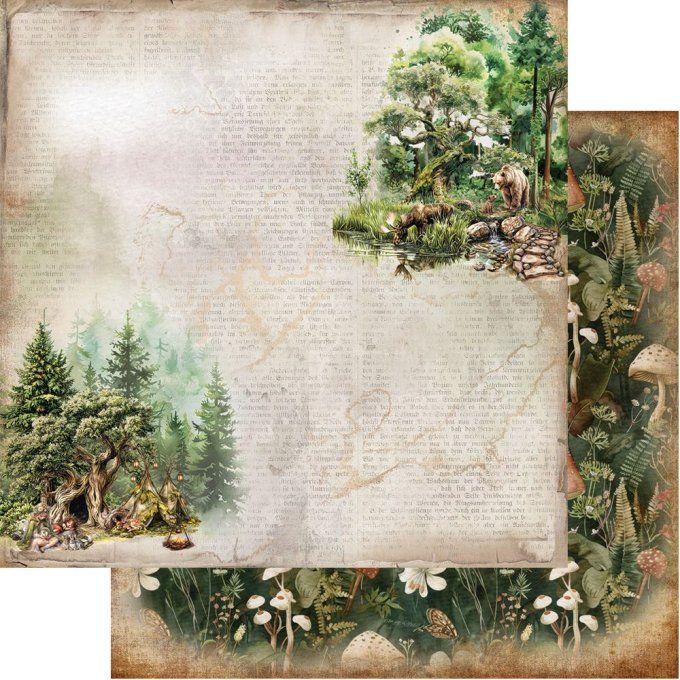 6 feuilles, 30x30cm, collection : Friends of the forest - 250gsm 