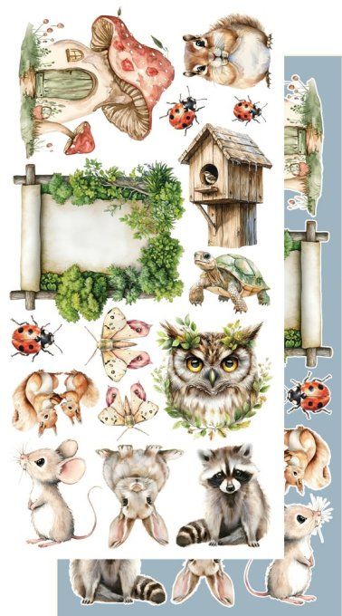 12 feuilles, 15x30cm, collection : Friends of the Forest - 250gsm 