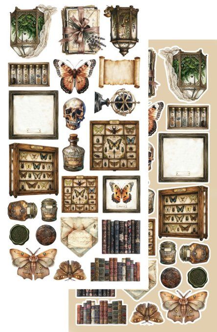 6 feuilles, 15x30.5cm, collection : In the library - 250gsm 