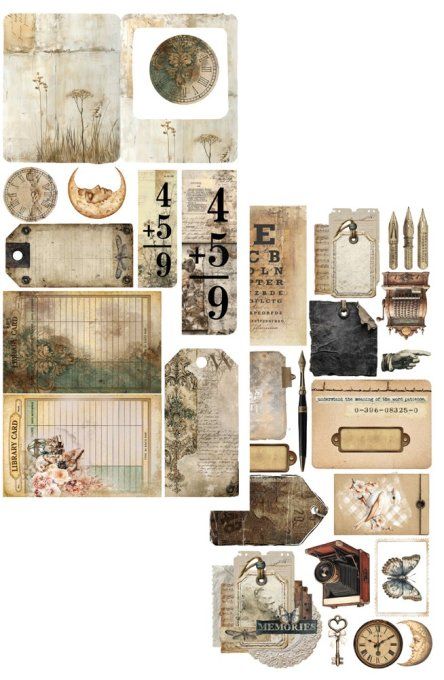10 feuilles, 15x30.5cm, collection : In the library - 250gsm