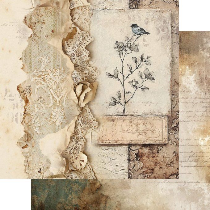 12 feuilles, 15x15cm, collection : In the library - 250gsm 