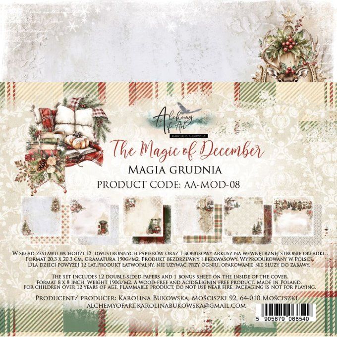 12 feuilles, 20x20cm, collection : The magic of december - 190gsm 