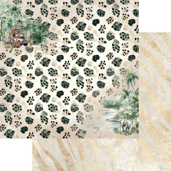 12 feuilles, 30x30cm, collection : Wild Adventures - 250gsm 
