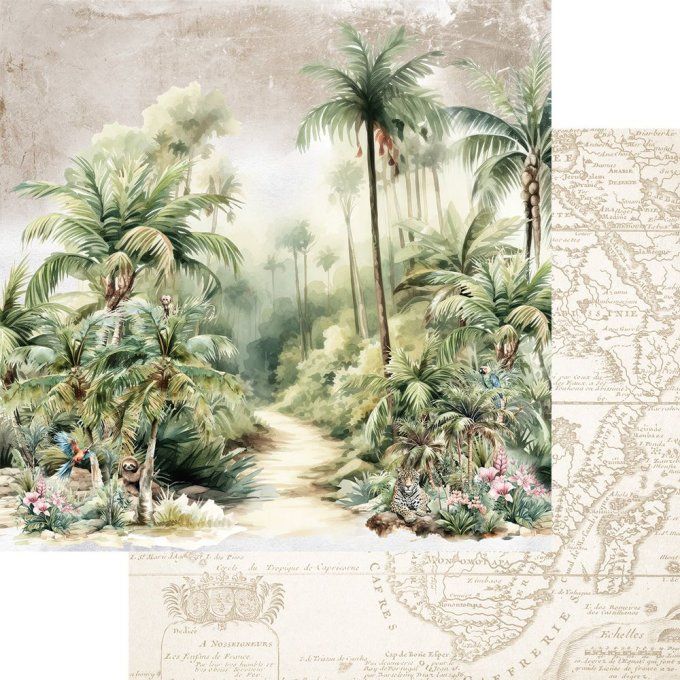 12 feuilles, 30x30cm, collection : Wild Adventures - 250gsm 