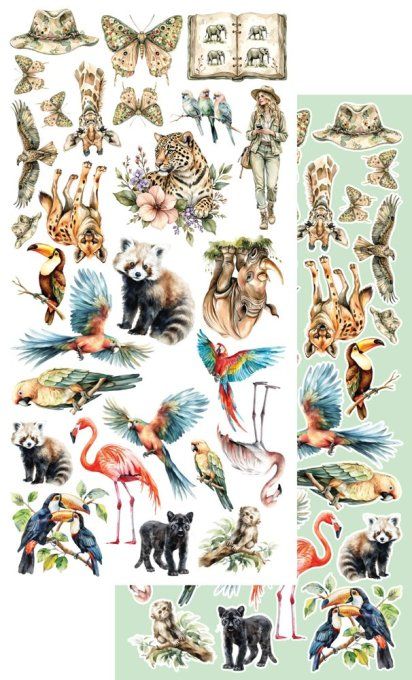 6 feuilles, 15x30cm, collection : Wild Adventures - 250gsm 