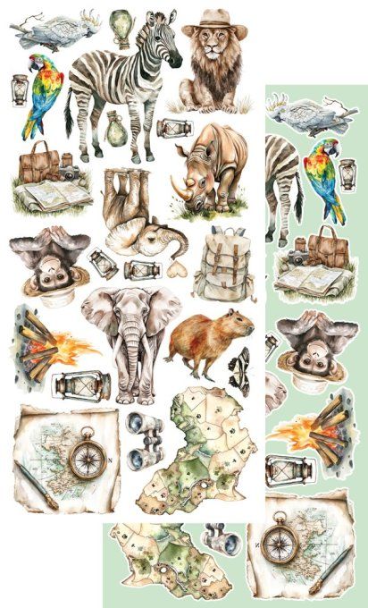 12 feuilles, 15x30cm, collection : Wild Adventures - 250gsm 