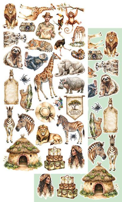 12 feuilles, 15x30cm, collection : Wild Adventures - 250gsm 