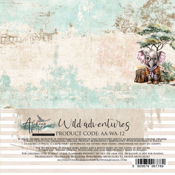24 feuilles, 15x15cm, collection : Wild Adventures - 250gsm