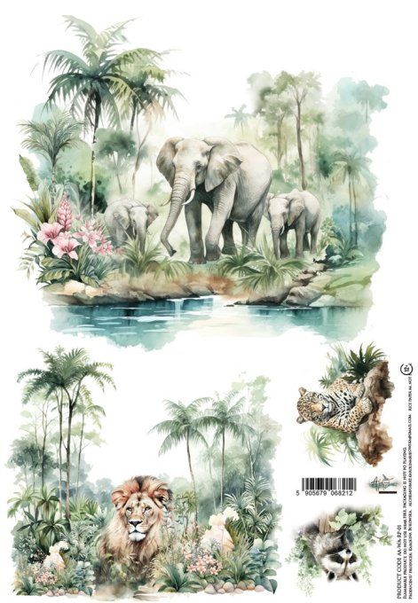 Feuille de riz, Wild Adventures,  format A4