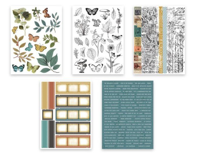 Arden Créative, Stickers book - Amber ledgers