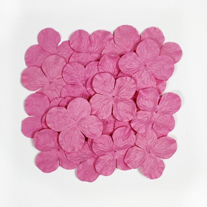 20 pièces, Fleurs en papier, Kora, couleur raspberry rose