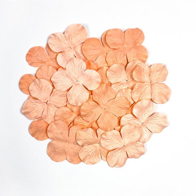 20 pièces, Fleurs en papier, Kora, couleur Coral pink