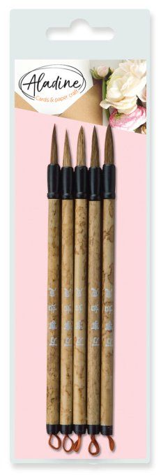 5 pinceaux pour aquarelle, Aladine