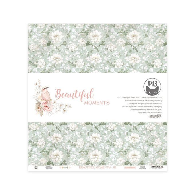 Ensemble de 6 feuilles, format 30.5x30.5cm, P13, Beautiful moments, motif recto verso