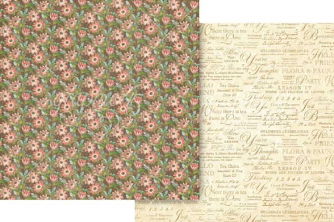 Graphic 45, Keepsake Edition, collection : Botanical Tea