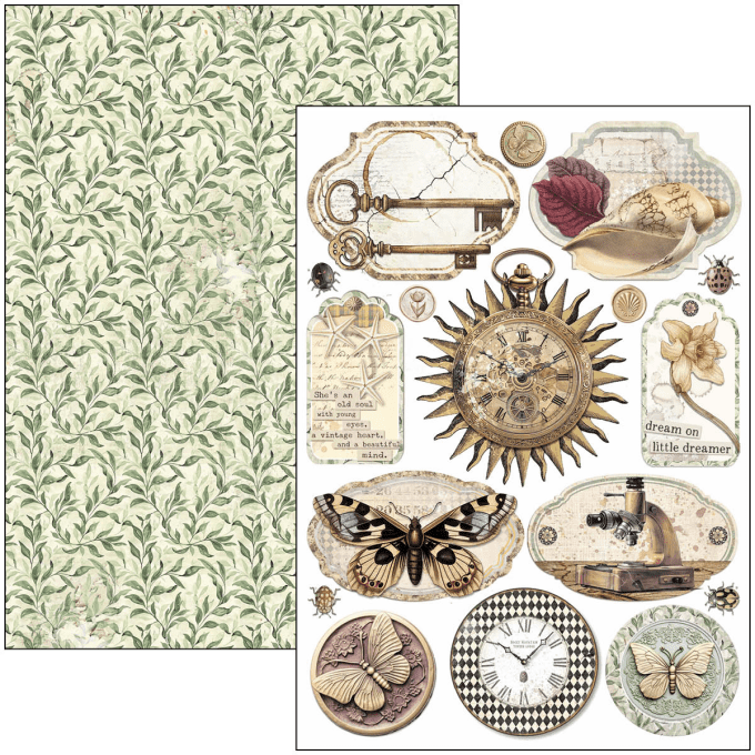 Ciao Bella, collection Cabinet of Curiosities, Format A4 - 9 feuilles - 190gsm
