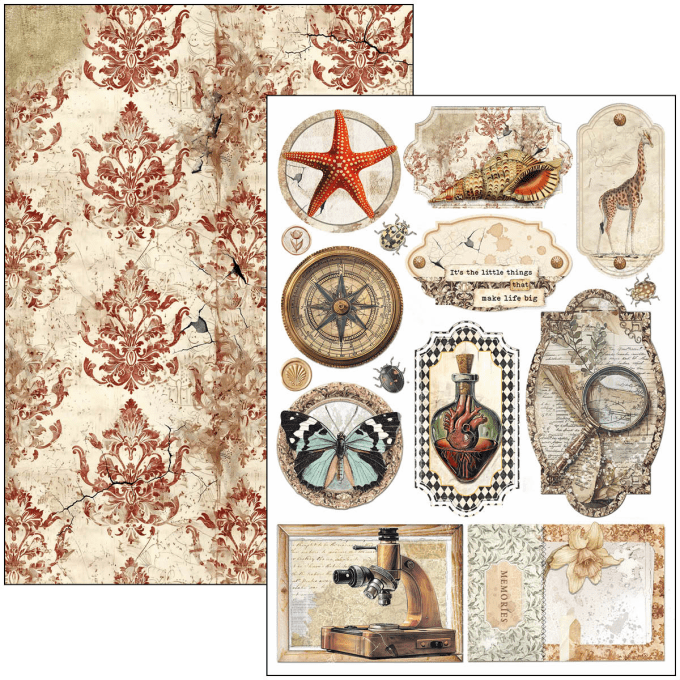 Ciao Bella, collection Cabinet of Curiosities, Format A4 - 9 feuilles - 190gsm
