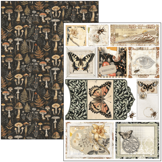 Ciao Bella, collection Cabinet of Curiosities, Format A4 - 9 feuilles - 190gsm