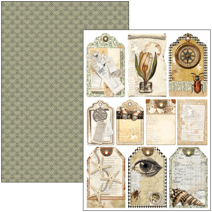 Ciao Bella, collection Cabinet of Curiosities, Format A4 - 9 feuilles - 190gsm