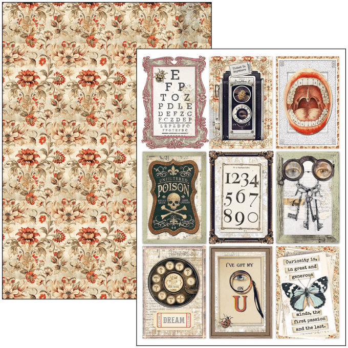 Ciao Bella, collection Cabinet of Curiosities, Format A4 - 9 feuilles - 190gsm