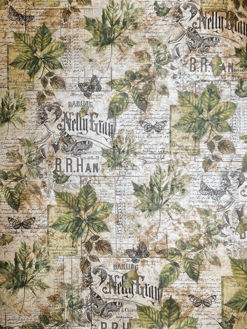 Deluxe paper Ciao Bella, Cabinet of curiosities,  Format A4 - 5 feuilles - 120gsm 