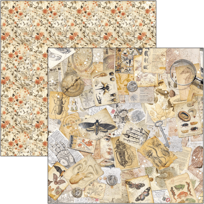 Ciao Bella, collection Cabinet of curiosities - 20x20cm - 12 feuilles - 190gsm