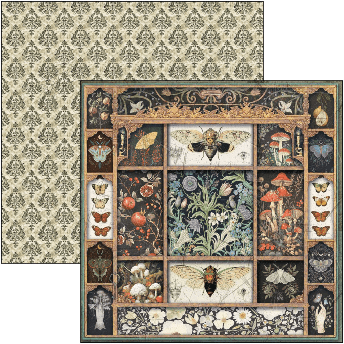 Ciao Bella, collection Cabinet of curiosities - 20x20cm - 12 feuilles - 190gsm