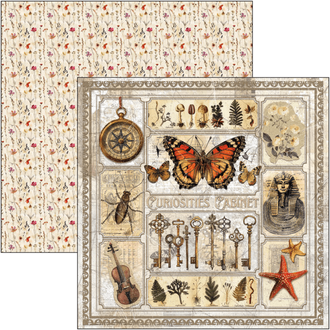 Ciao Bella, collection Cabinet of curiosities - 20x20cm - 12 feuilles - 190gsm