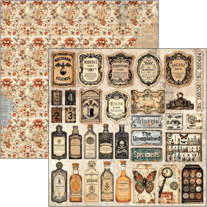 Ciao Bella, collection Cabinet of curiosities - 20x20cm - 12 feuilles - 190gsm