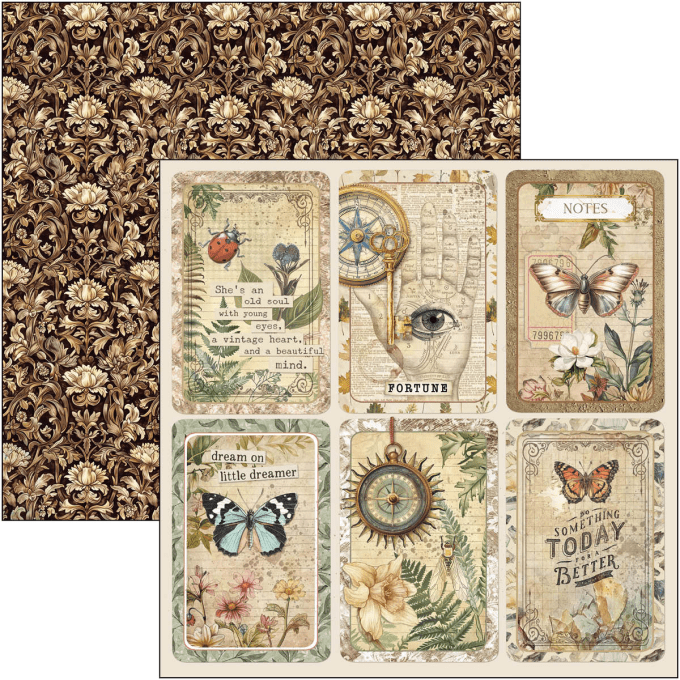 Ciao Bella, collection Cabinet of curiosities - 20x20cm - 12 feuilles - 190gsm
