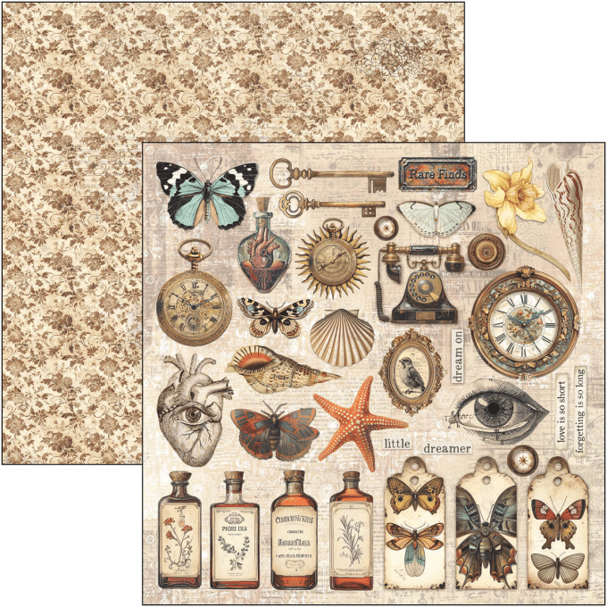 Ciao Bella, collection Cabinet of curiosities - 20x20cm - 12 feuilles - 190gsm