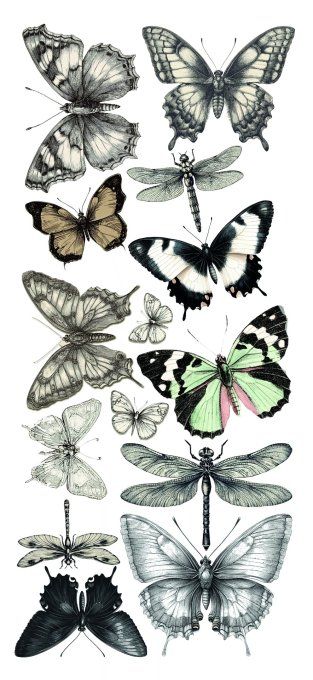 Ciao Bella, Stickers, Typographic, 5 feuilles