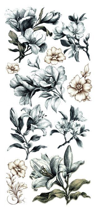 Ciao Bella, Stickers, Typographic, 5 feuilles