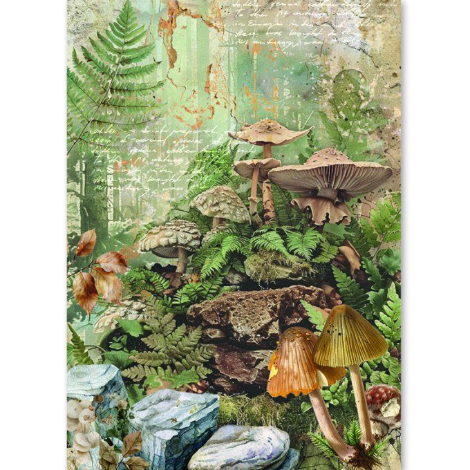 Ciao Bella, 8 Feuille de riz, Format A5 - The nature journal